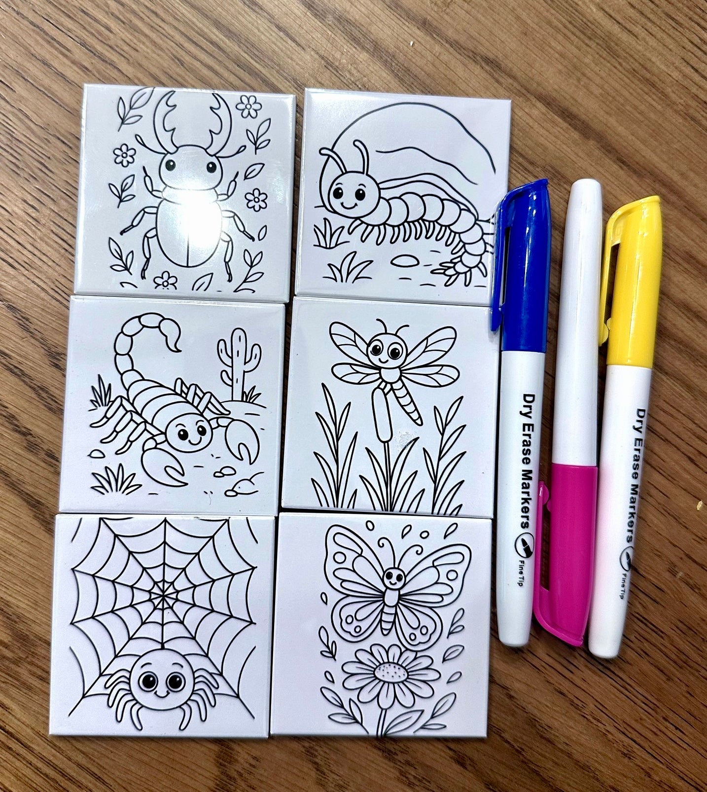Reusable kids coloring magnets with bug designs and three dry erase markers, handmade by Lifetime Magnets