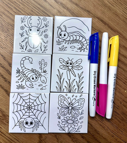 Reusable kids coloring magnets with bug designs and three dry erase markers, handmade by Lifetime Magnets